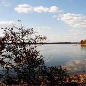 Meet your Posher, Neil